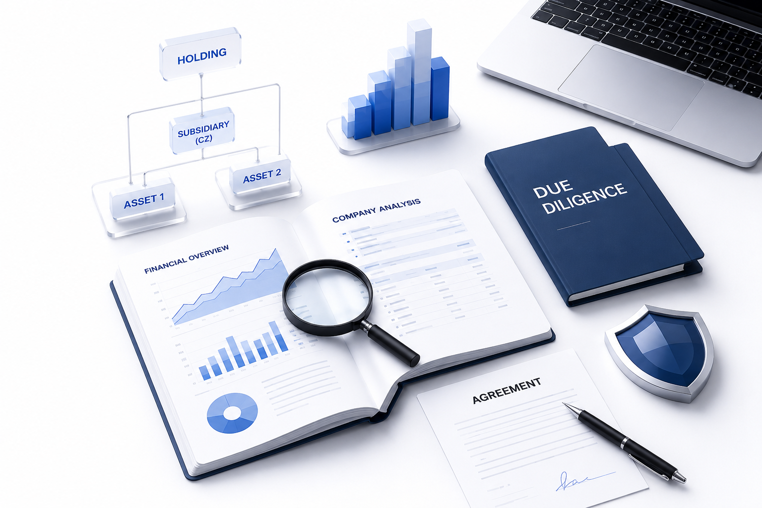 Due diligence, holding structure and investor analysis visual